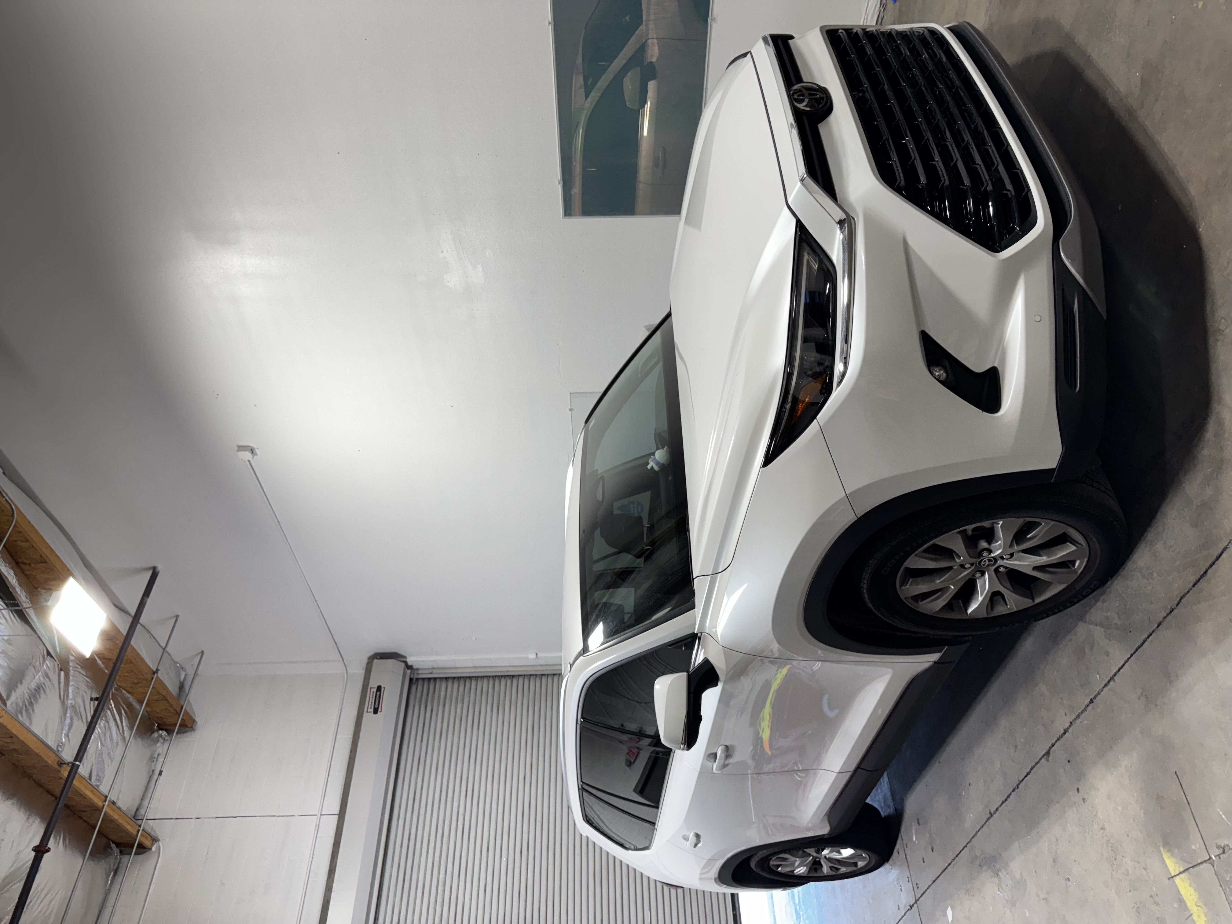 IMG 0005